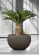 round planter for trees