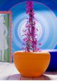 Orance Scoop Planter with Light