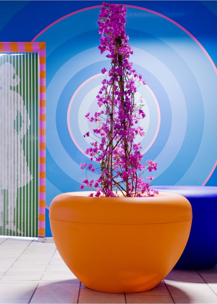 Orance Scoop Planter with Light