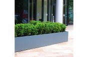 Bespoke, large outdoor planter for Hammersmith offices
