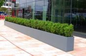 External, long trough planter for office exterior