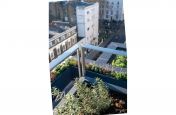 Roof terrace planters
