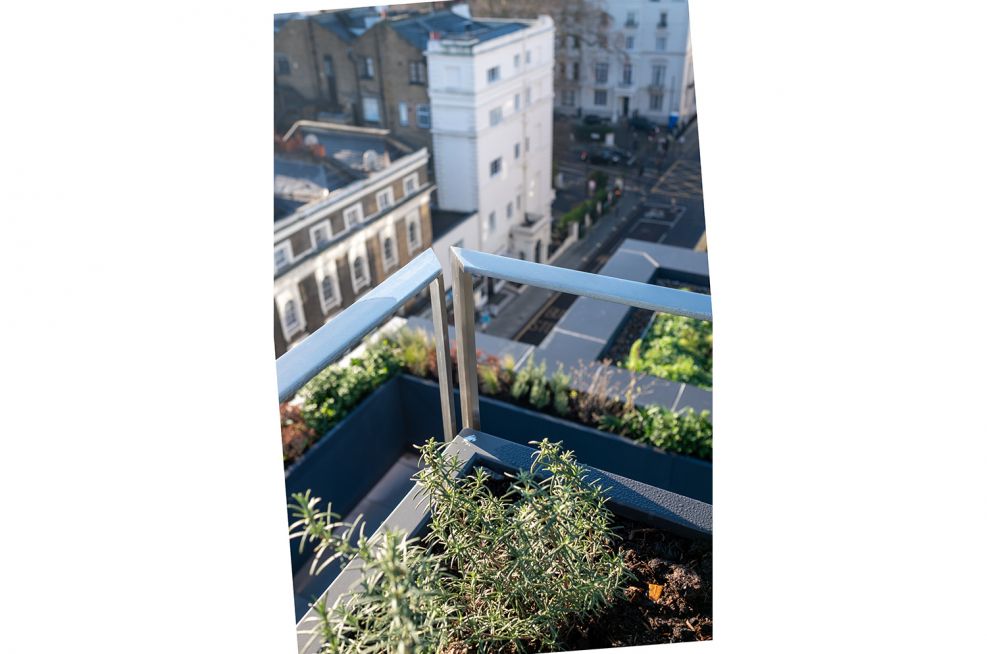 Roof terrace planters