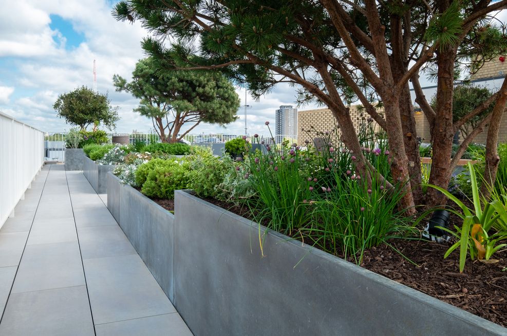 Rectangular zinc planters for terrace garden
