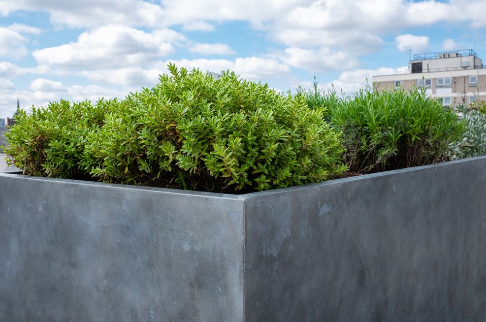 Zinc planters with pre-patinated finish