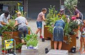 Community public planting project