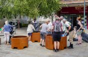 Volunteers filling public planters