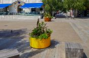 Custom coloured planter for public space