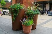 Public planters and Quakers Friars