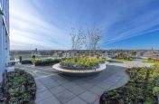 Modern planter for exposed rooftop garden