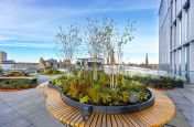 Metal planter with integrated timber seating