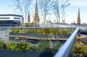 Aberdeen roof terrace garden
