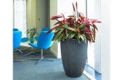 Radial 720 tall planter for corporate headquarters
