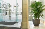 Glass fibre planters for office entrance way