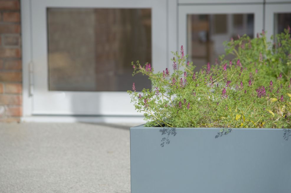 Large planters custom coloured to grey blue RAL 7031