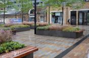 Large planters for public spaces