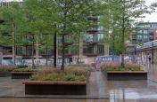 Large tree planters with bench seating