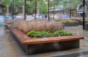 Planters with timber benching