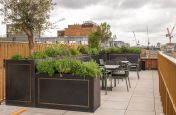 Luxury planters for office developments