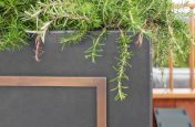 Metal planters with brass 'picture frame' inlay