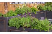 Communal roof terrace planters in London