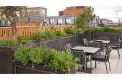 Planters for roof terrace in London
