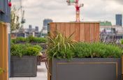Custom painted planters with brass insert