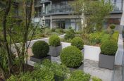 Fibre Reinforced Cement Boulevard Planters