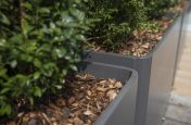 Cement Boulevard Planters