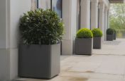 Delta 60 square FRC Planters