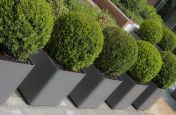 Square Boulevard Planters Grey