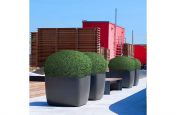 External Planters Made From Fibre Reinforced Cement