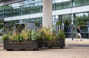 Polyester Powdered Steel Planters