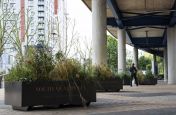 Powder Coated Zintec Steel Planters for South Quay Plaza