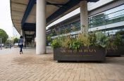 Zintec Steel Planters Powder Coated