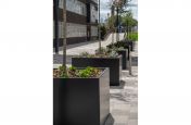 Large tree planters for public realm