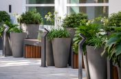 Outdoor conical GRP planters