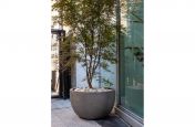 Lightweight bowl planter for trees
