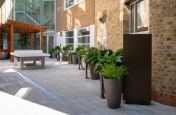 Tall planters for office development