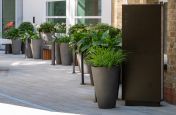 Planters for office courtyard