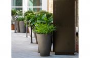 Tall conical planters for communal spaces