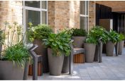 Planters outside office development