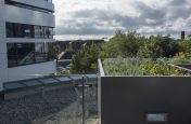 Bespoke Steel Planters With Polyester Powder Coating