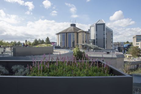 Illuminated Zintec Steel Powder Coated Planters