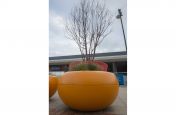 Fibre Reinforced Concred Composite Planters