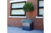 Cube 600 Planter at Burwood Park