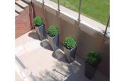 Large Elegant Statement Planters at Burwood Park