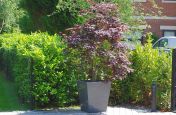 Taper 800 Granite Weatherproof Planters