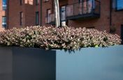 Powder coated durable planters