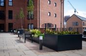 Planters in a range of complementary sizes